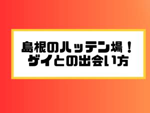 島根のハッテン場14選！ゲイとの出会い人気スポット。しじみ会。